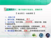 人教版 (新課標)高中生物選修3 3-1《體內受精和早期胚胎發(fā)育》復習課件
