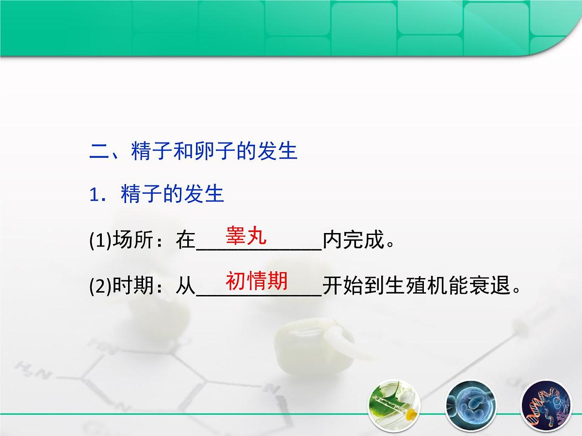 人教版 (新课标)高中生物选修3 3-1《体内受精和早期胚胎发育》复习课件第4页