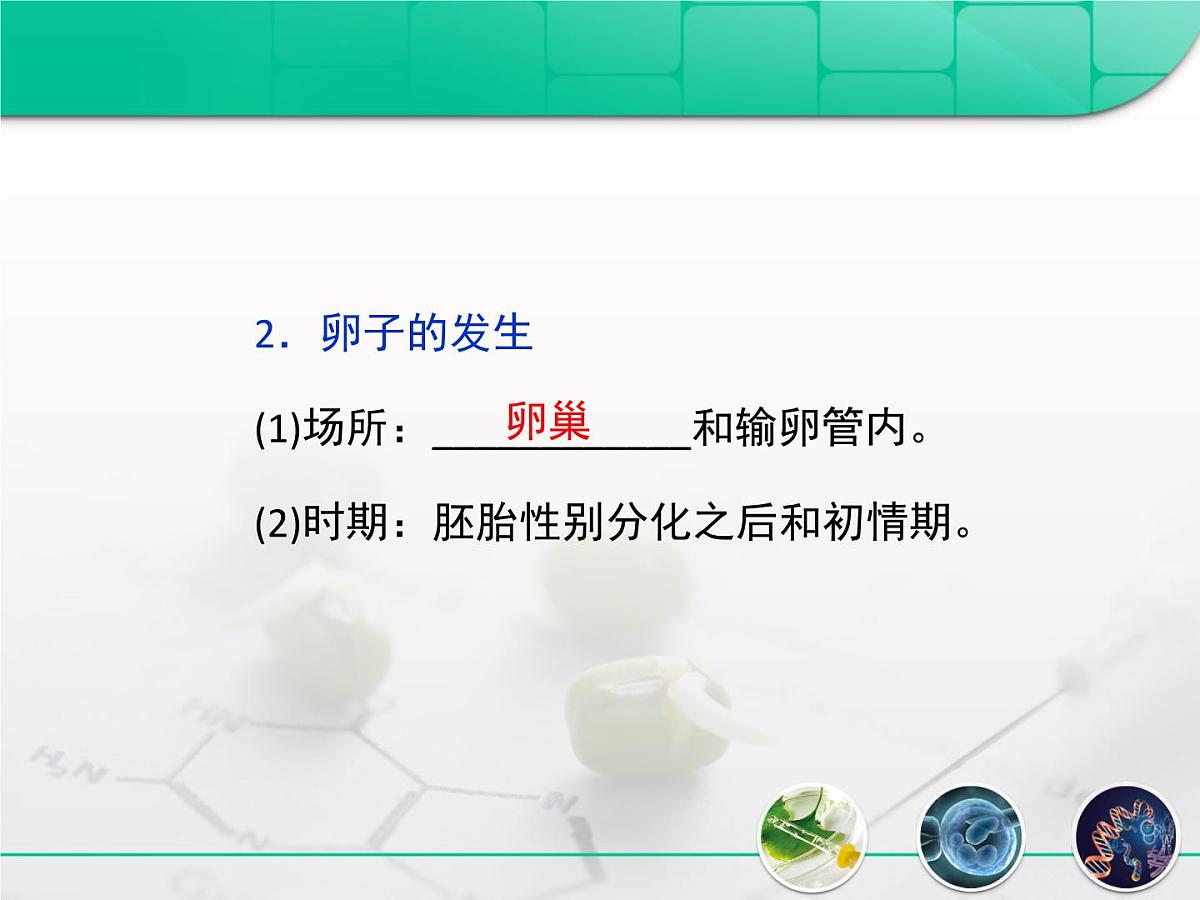 人教版 (新课标)高中生物选修3 3-1《体内受精和早期胚胎发育》复习课件第7页
