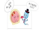 人教版 (新課標)高中生物選修3 3-1《體內受精和早期胚胎發(fā)育》課件