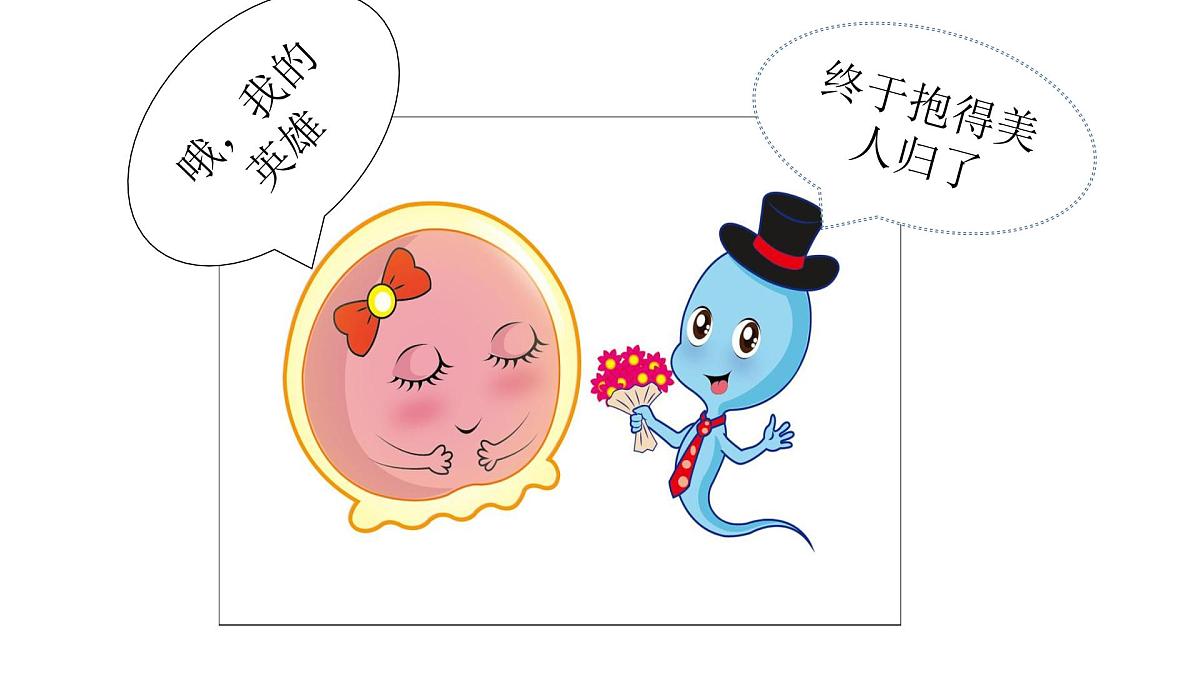 人教版 (新课标)高中生物选修3 3-1《体内受精和早期胚胎发育》课件第4页