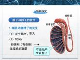人教版 (新課標)高中生物選修3 3-1《體內受精和早期胚胎發(fā)育》課件