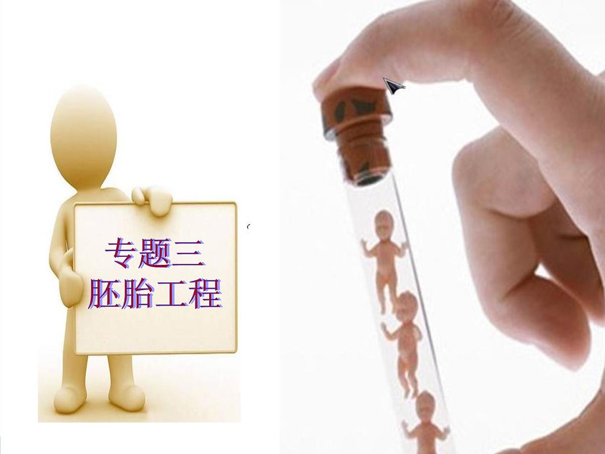 人教版 (新课标)高中生物选修3 3-1《体内受精和早期胚胎发育》（第1课时）课件第2页