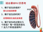 人教版 (新課標)高中生物選修3 3-1《體內受精和早期胚胎發(fā)育》（第1課時）課件