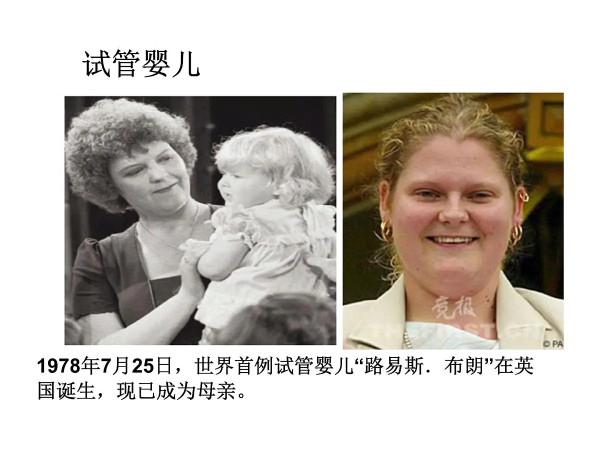 人教版 (新课标)高中生物选修3 3-2《体外受精和早期胚胎培养》课件第2页