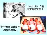 人教版 (新課標(biāo))高中生物選修3 3-2《體外受精和早期胚胎培養(yǎng)》課件