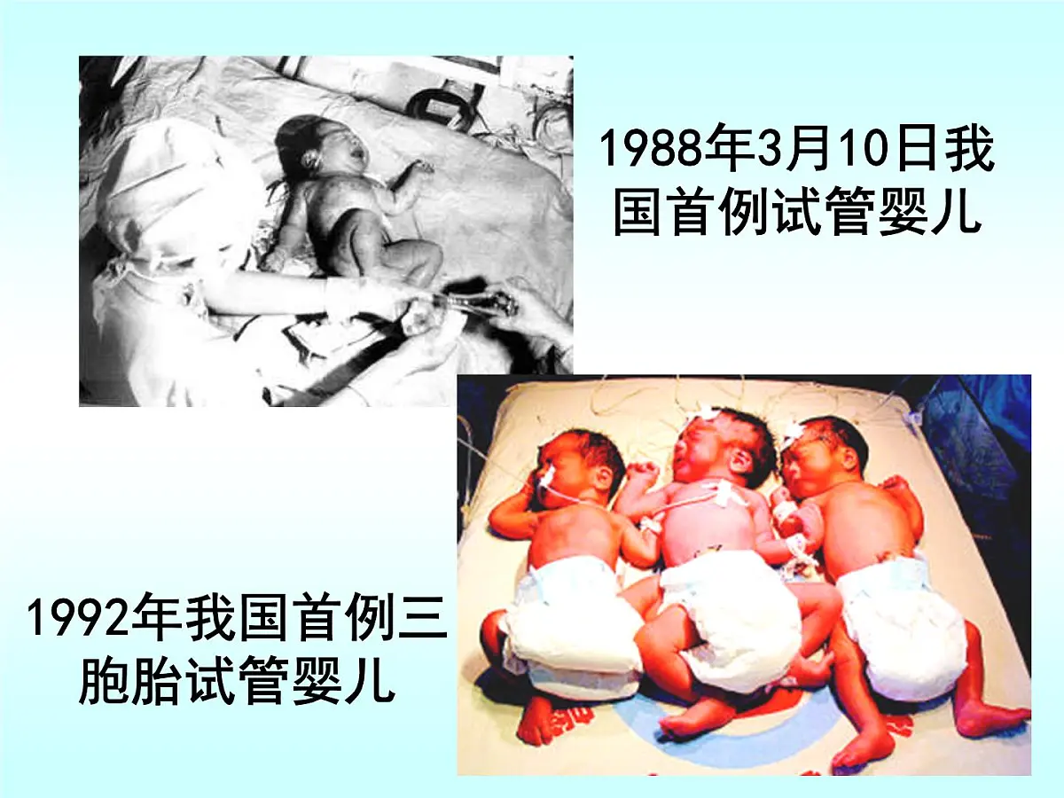 人教版 (新课标)高中生物选修3 3-2《体外受精和早期胚胎培养》课件第3页