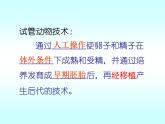 人教版 (新課標(biāo))高中生物選修3 3-2《體外受精和早期胚胎培養(yǎng)》課件