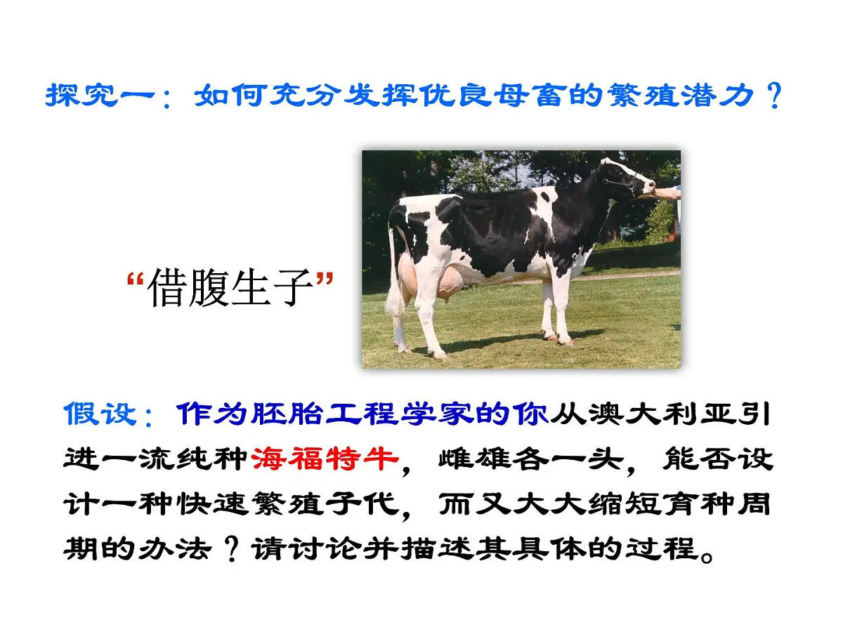 人教版 (新课标)高中生物选修3 3-2《体外受精和早期胚胎培养》课件第7页