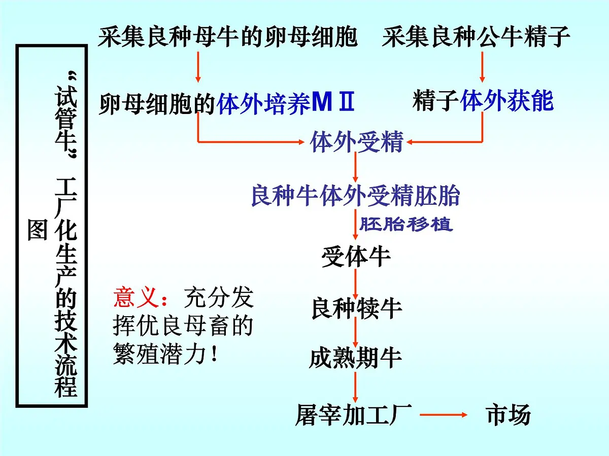 人教版 (新课标)高中生物选修3 3-2《体外受精和早期胚胎培养》课件第8页