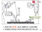 人教版 (新課標(biāo))高中生物選修3 3-2《體外受精和早期胚胎培養(yǎng)》課件