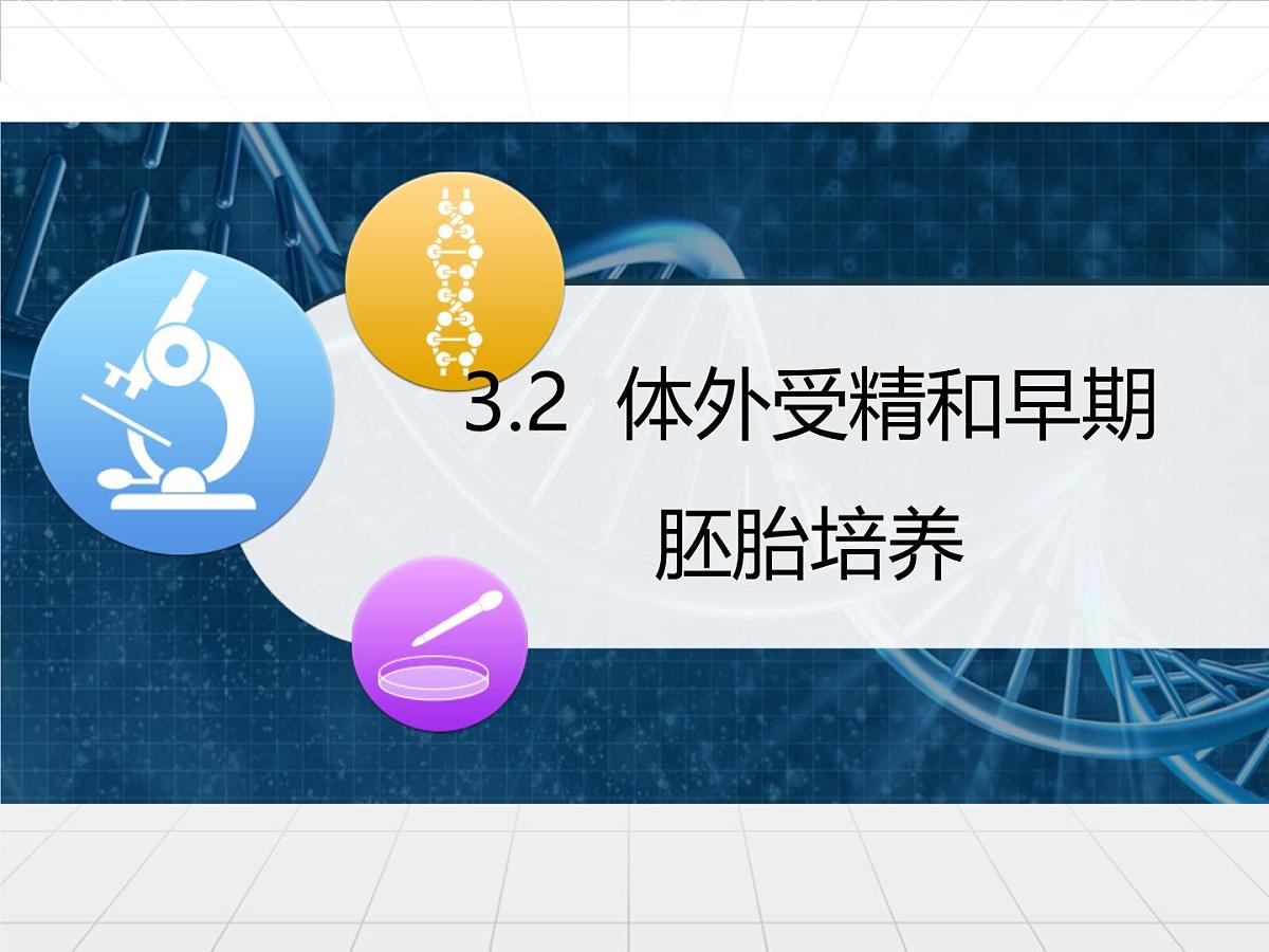人教版 (新课标)高中生物选修3 3-2《体外受精和早期胚胎培养》课件第1页