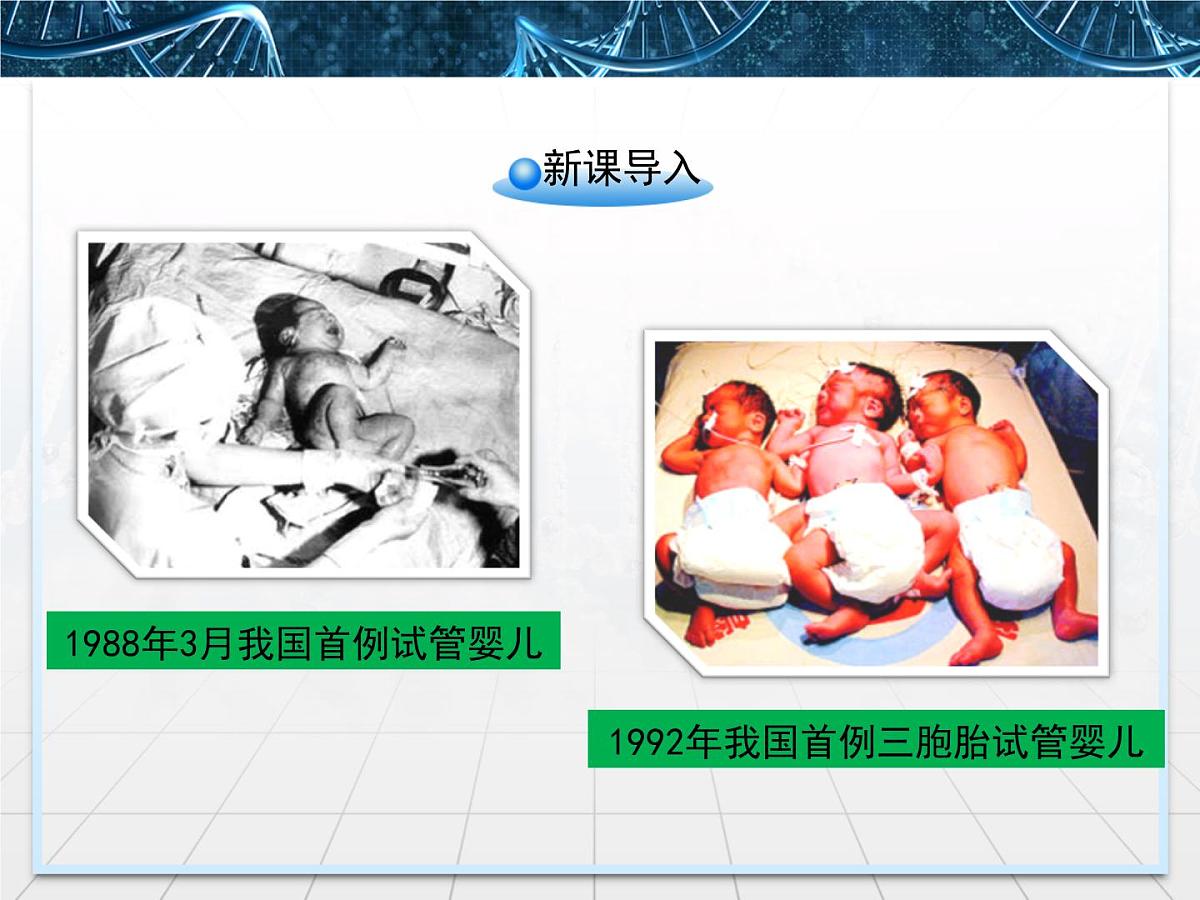 人教版 (新课标)高中生物选修3 3-2《体外受精和早期胚胎培养》课件第2页