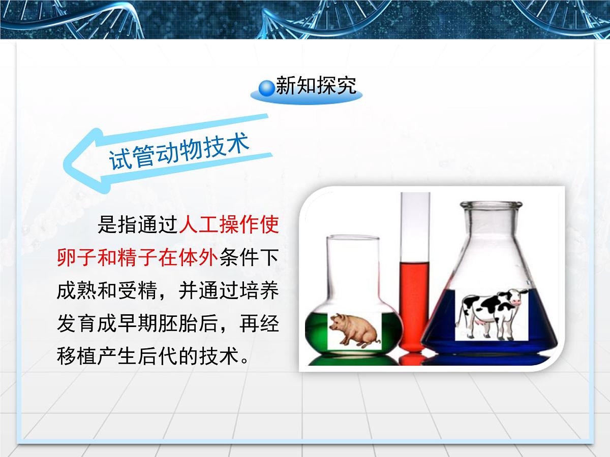 人教版 (新课标)高中生物选修3 3-2《体外受精和早期胚胎培养》课件第5页