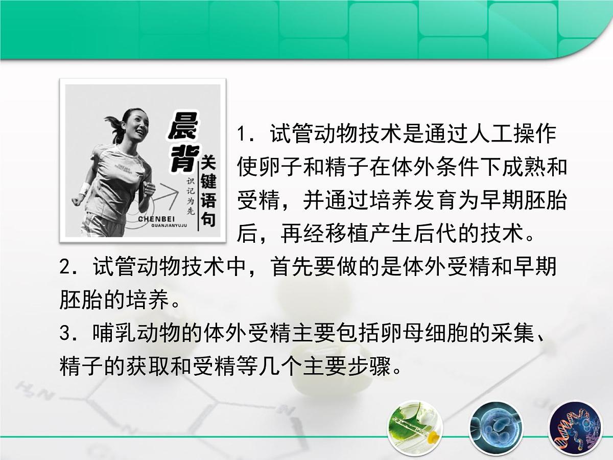 人教版 (新课标)高中生物选修3 3-2《体外受精和早期胚胎培养》课件第2页
