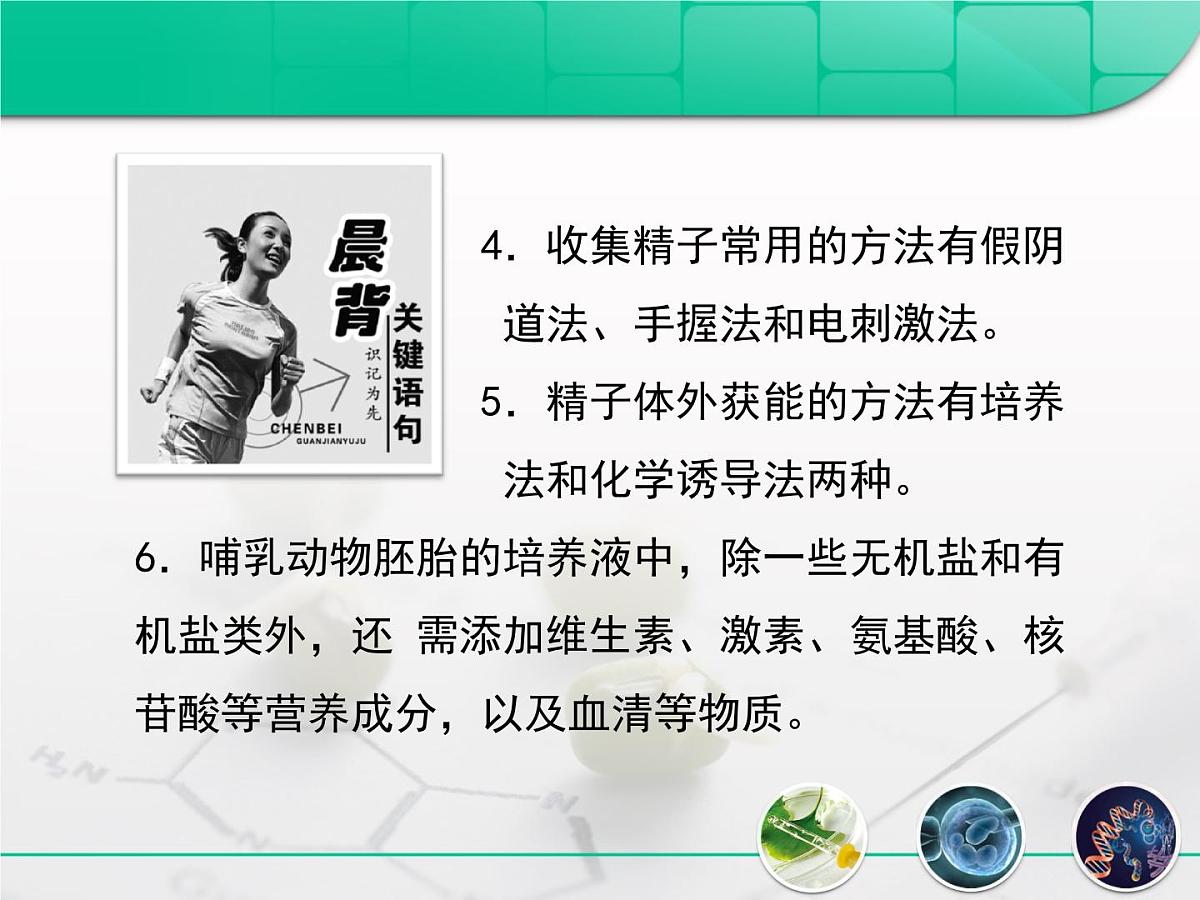 人教版 (新课标)高中生物选修3 3-2《体外受精和早期胚胎培养》课件第3页