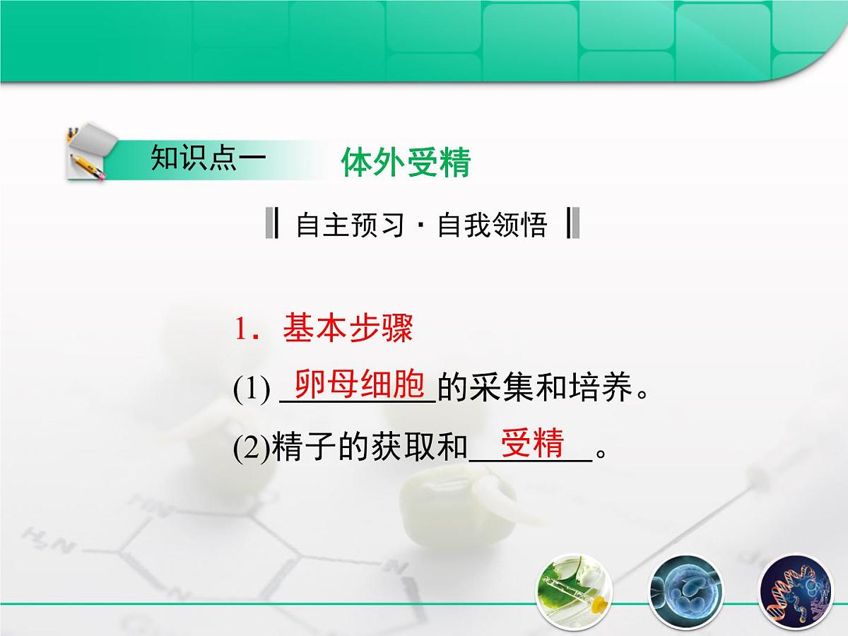 人教版 (新课标)高中生物选修3 3-2《体外受精和早期胚胎培养》课件第4页