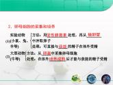 人教版 (新課標(biāo))高中生物選修3 3-2《體外受精和早期胚胎培養(yǎng)》課件