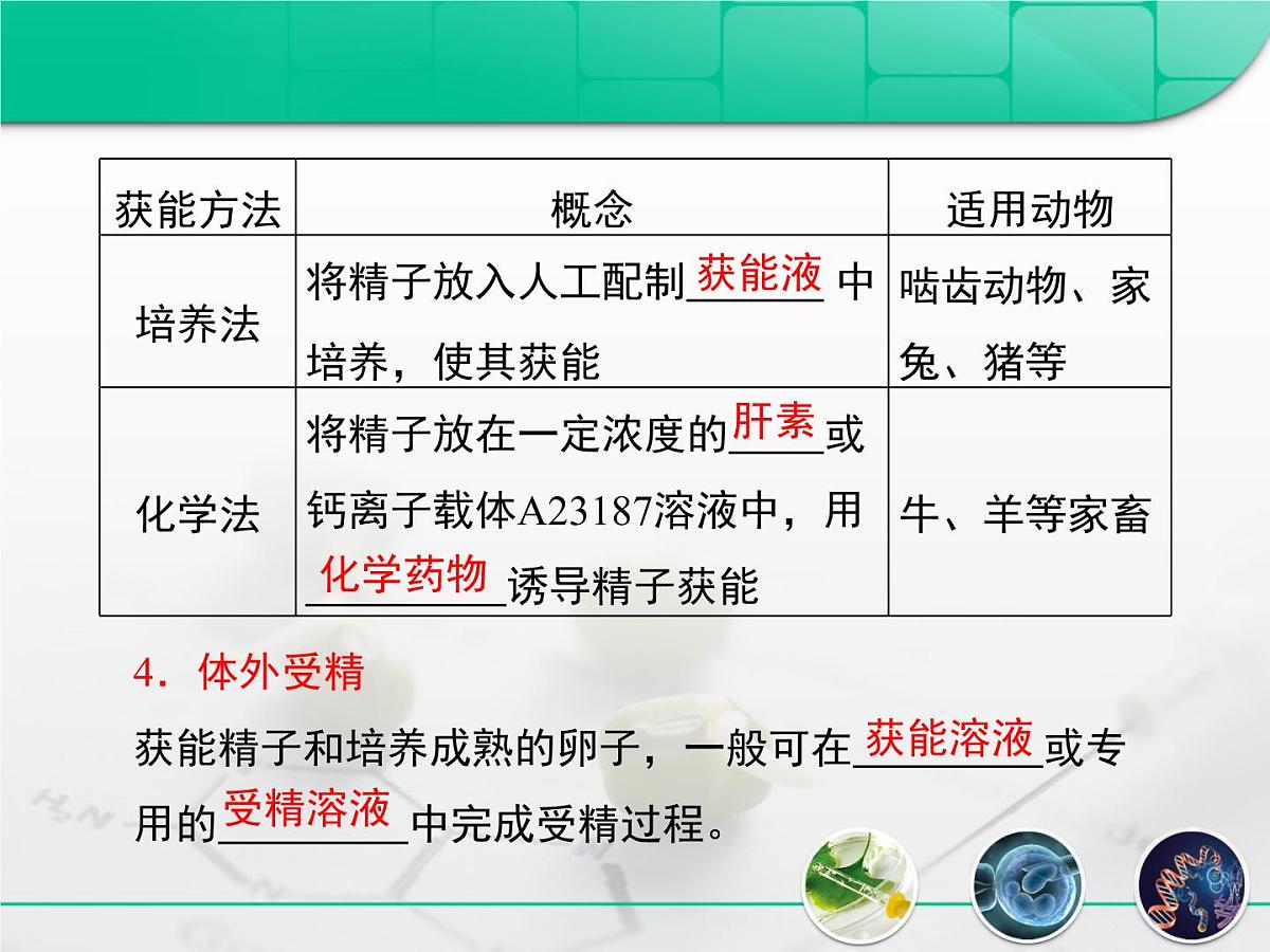 人教版 (新课标)高中生物选修3 3-2《体外受精和早期胚胎培养》课件第7页