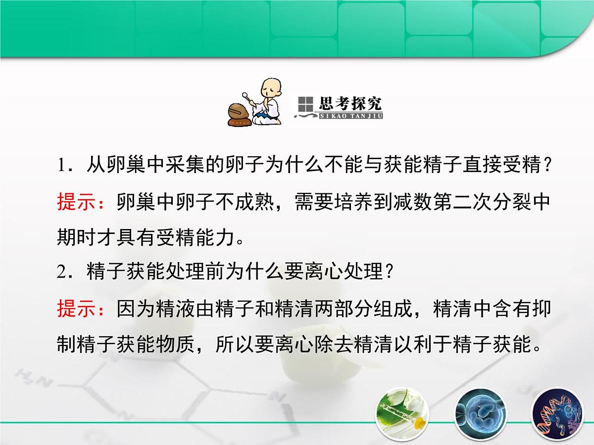 人教版 (新课标)高中生物选修3 3-2《体外受精和早期胚胎培养》课件第8页