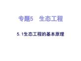人教版 (新課標)高中生物選修3 5.1《生態(tài)工程的基本原理》課件