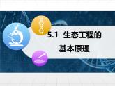 人教版 (新課標)高中生物選修3 5.1《生態(tài)工程的基本原理》課件