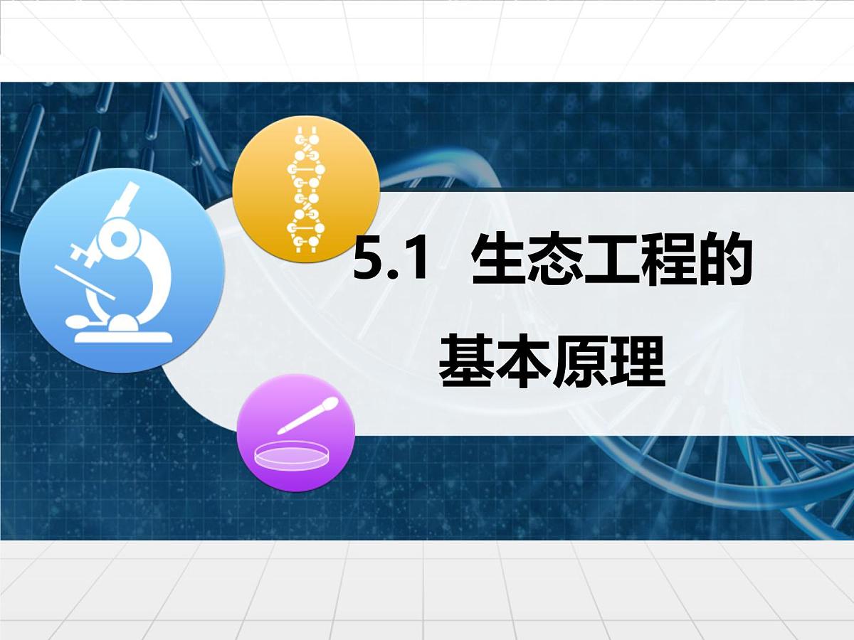 人教版 (新课标)高中生物选修3 5.1《生态工程的基本原理》课件第1页