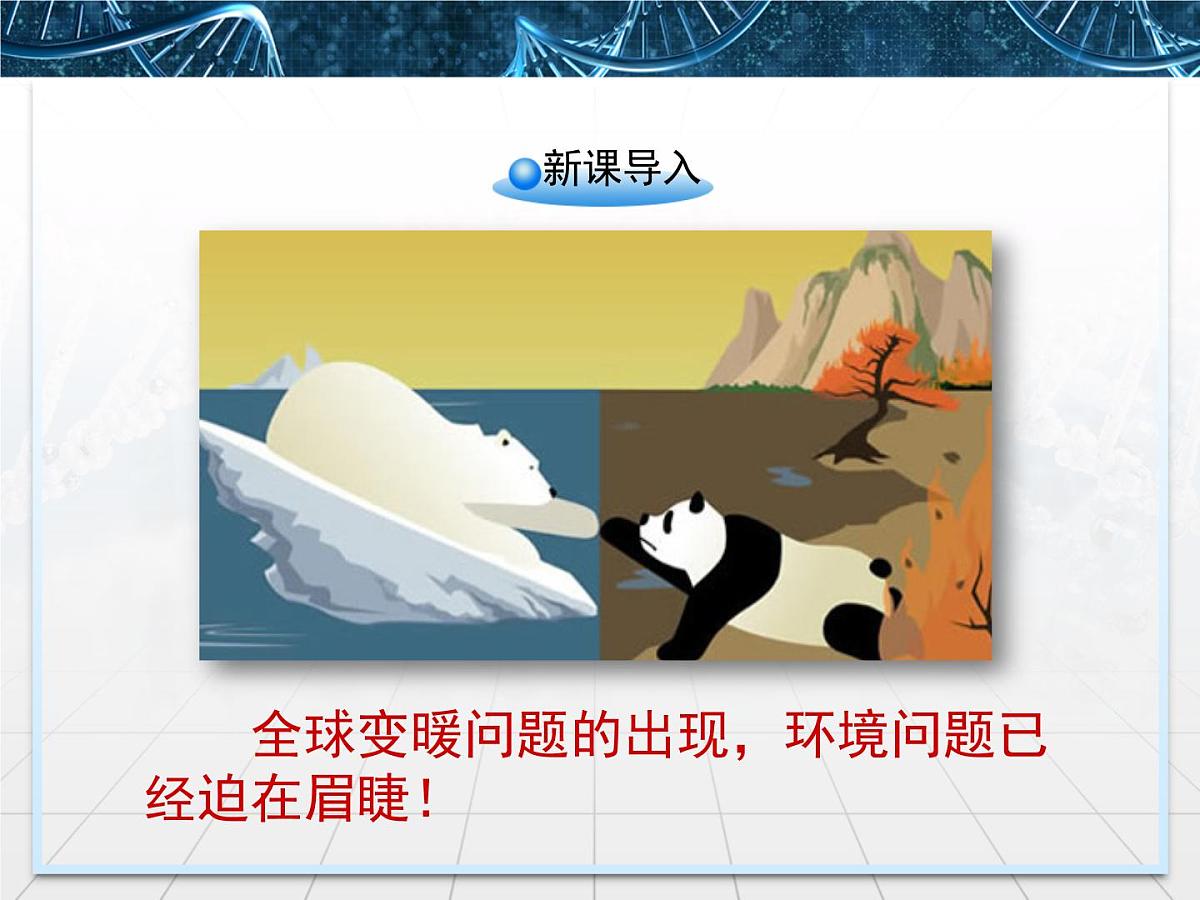 人教版 (新课标)高中生物选修3 5.1《生态工程的基本原理》课件第2页