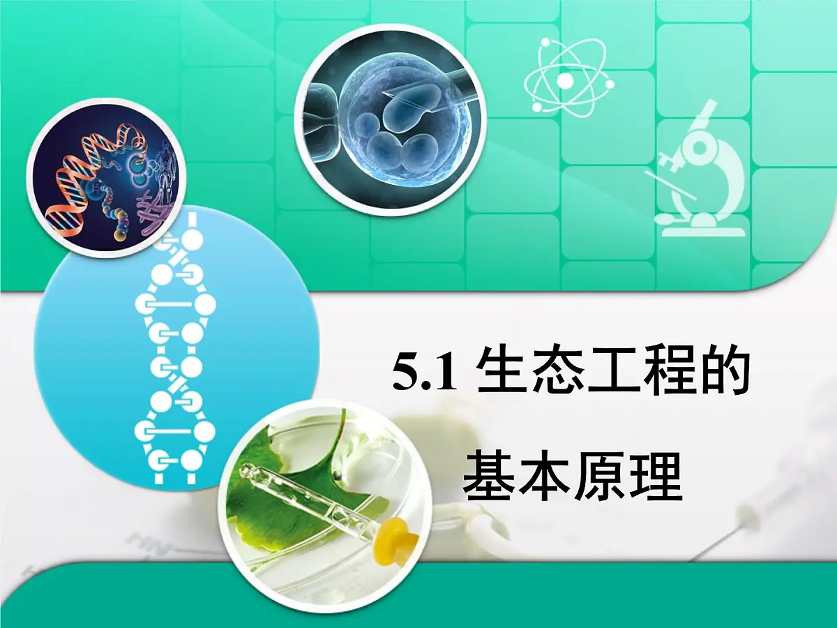 人教版 (新课标)高中生物选修3 5.1《生态工程的基本原理》课件第1页
