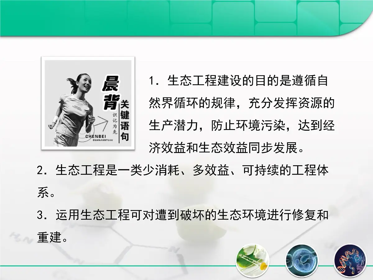 人教版 (新课标)高中生物选修3 5.1《生态工程的基本原理》课件第2页