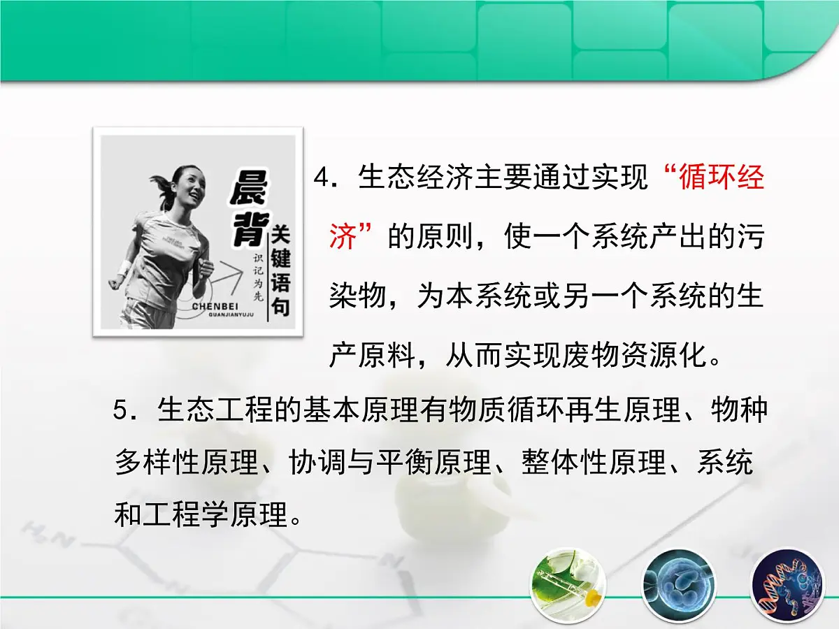 人教版 (新课标)高中生物选修3 5.1《生态工程的基本原理》课件第3页