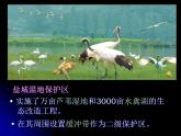 人教版 (新課標)高中生物選修3 5.2《生態(tài)工程的實例和發(fā)展前景（第2課時）》課件