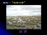 人教版 (新課標)高中生物選修3 5.2《生態(tài)工程的實例和發(fā)展前景（第2課時）》課件
