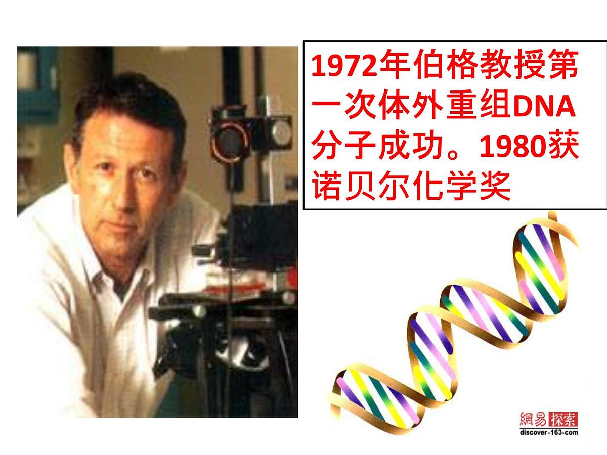 人教版 (新课标)高中生物选修3 4.1《转基因生物的安全性》课件第2页