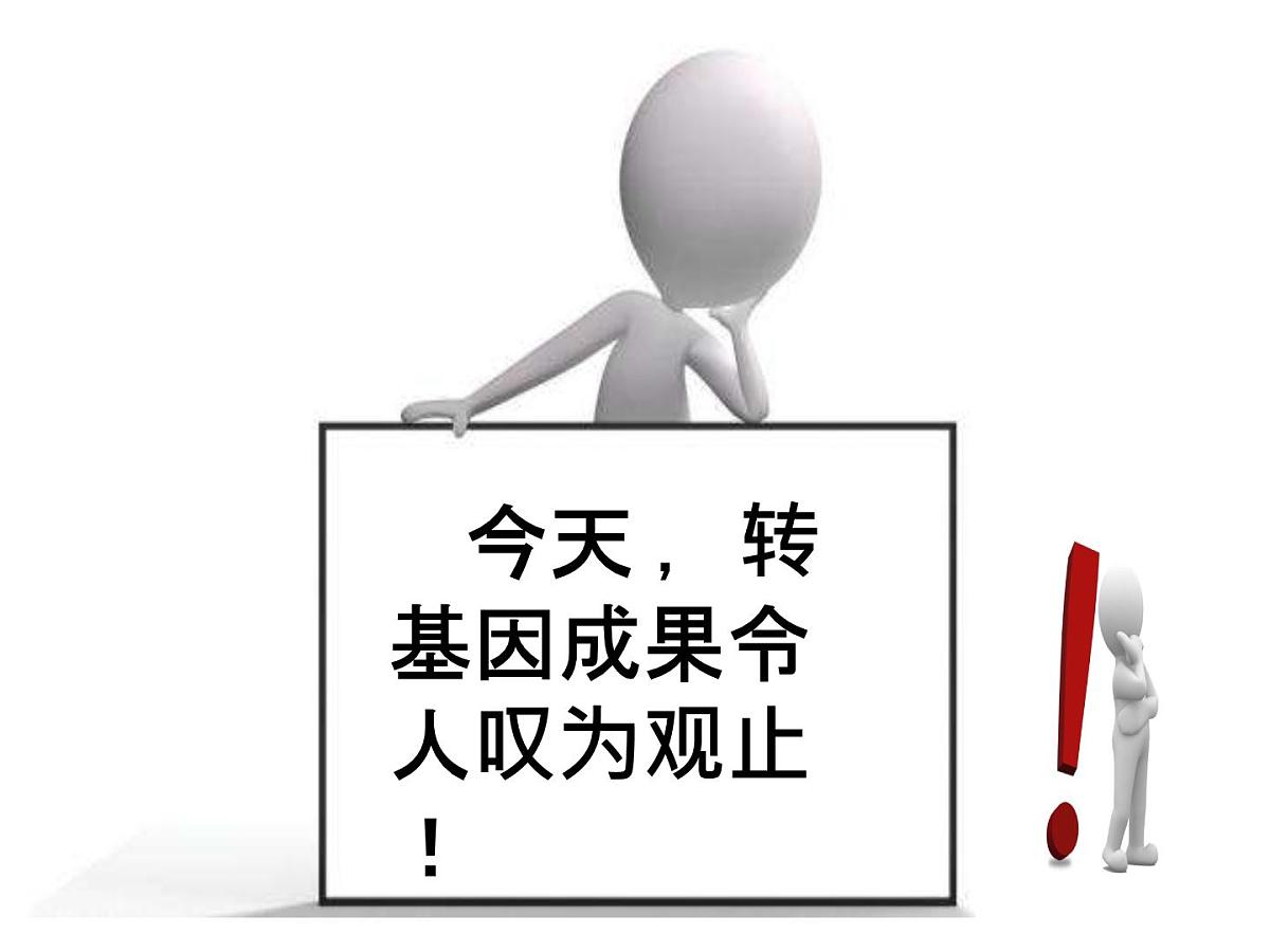 人教版 (新课标)高中生物选修3 4.1《转基因生物的安全性》课件第4页