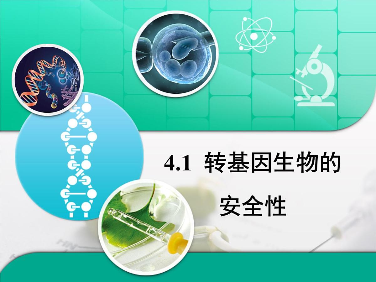 人教版 (新课标)高中生物选修3 4.1《转基因生物的安全性》复习课件第1页