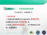 人教版 (新課標(biāo))高中生物選修3 4.1《轉(zhuǎn)基因生物的安全性》復(fù)習(xí)課件