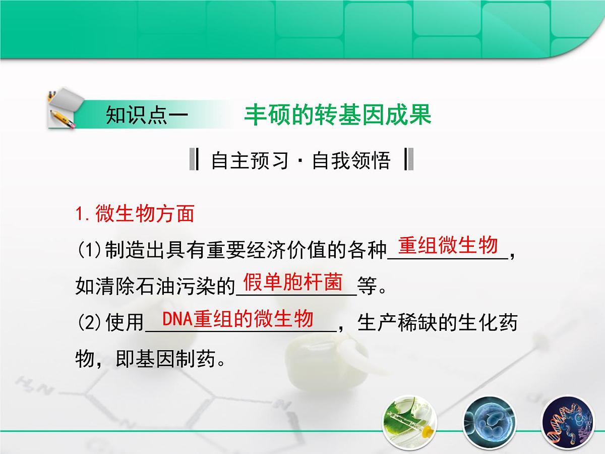 人教版 (新课标)高中生物选修3 4.1《转基因生物的安全性》复习课件第4页