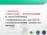 人教版 (新課標(biāo))高中生物選修3 4.1《轉(zhuǎn)基因生物的安全性》復(fù)習(xí)課件