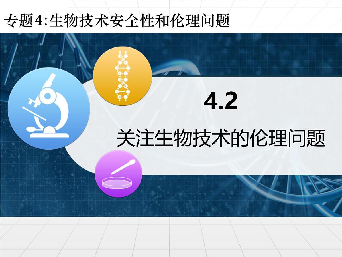 人教版 (新课标)高中生物选修3 4.2《关注生物技术的伦理问题》课件第1页