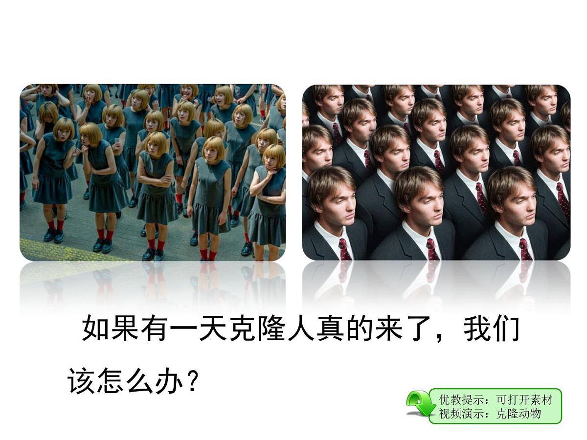 人教版 (新课标)高中生物选修3 4.2《关注生物技术的伦理问题》课件第2页