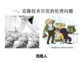 人教版 (新課標(biāo))高中生物選修3 4.2《關(guān)注生物技術(shù)的倫理問題》課件