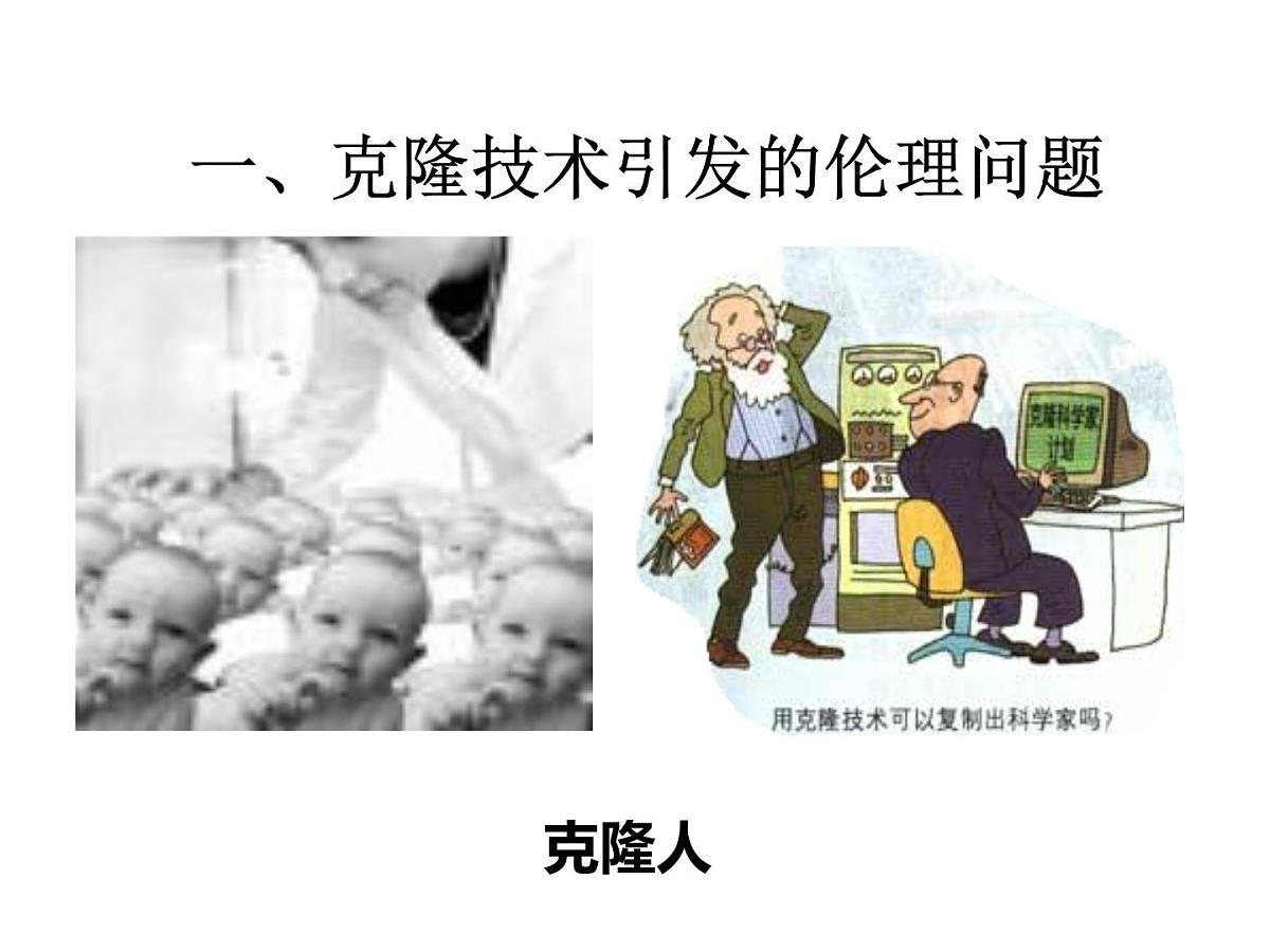 人教版 (新课标)高中生物选修3 4.2《关注生物技术的伦理问题》课件第5页