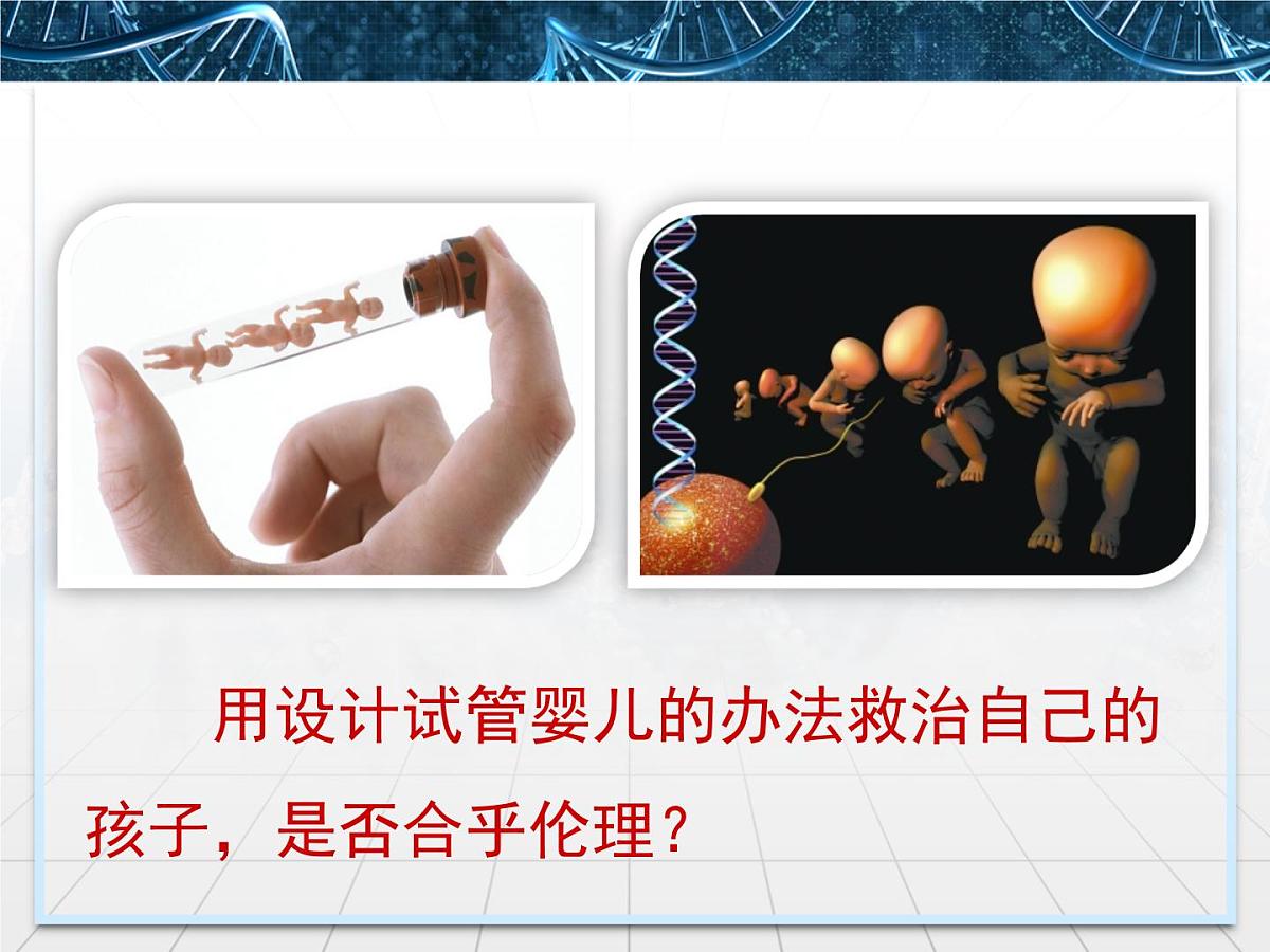 人教版 (新课标)高中生物选修3 4.2《关注生物技术的伦理问题》课件第3页
