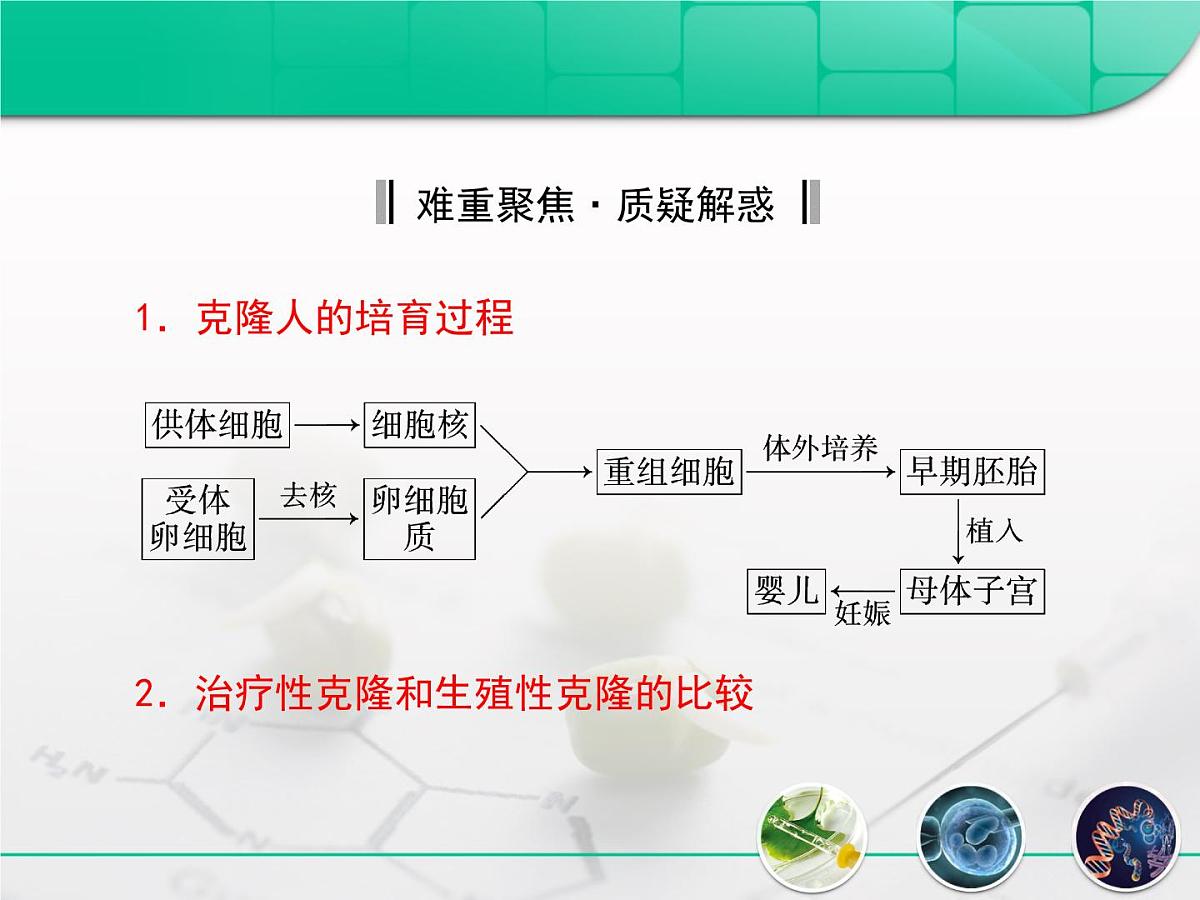 人教版 (新课标)高中生物选修3 4.2《关注生物技术的伦理问题》复习课件第7页