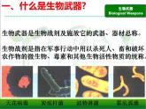 人教版 (新課標(biāo))高中生物選修3 4.3《禁止生物武器》課件