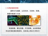 人教版 (新課標(biāo))高中生物選修3 4.3《禁止生物武器》課件