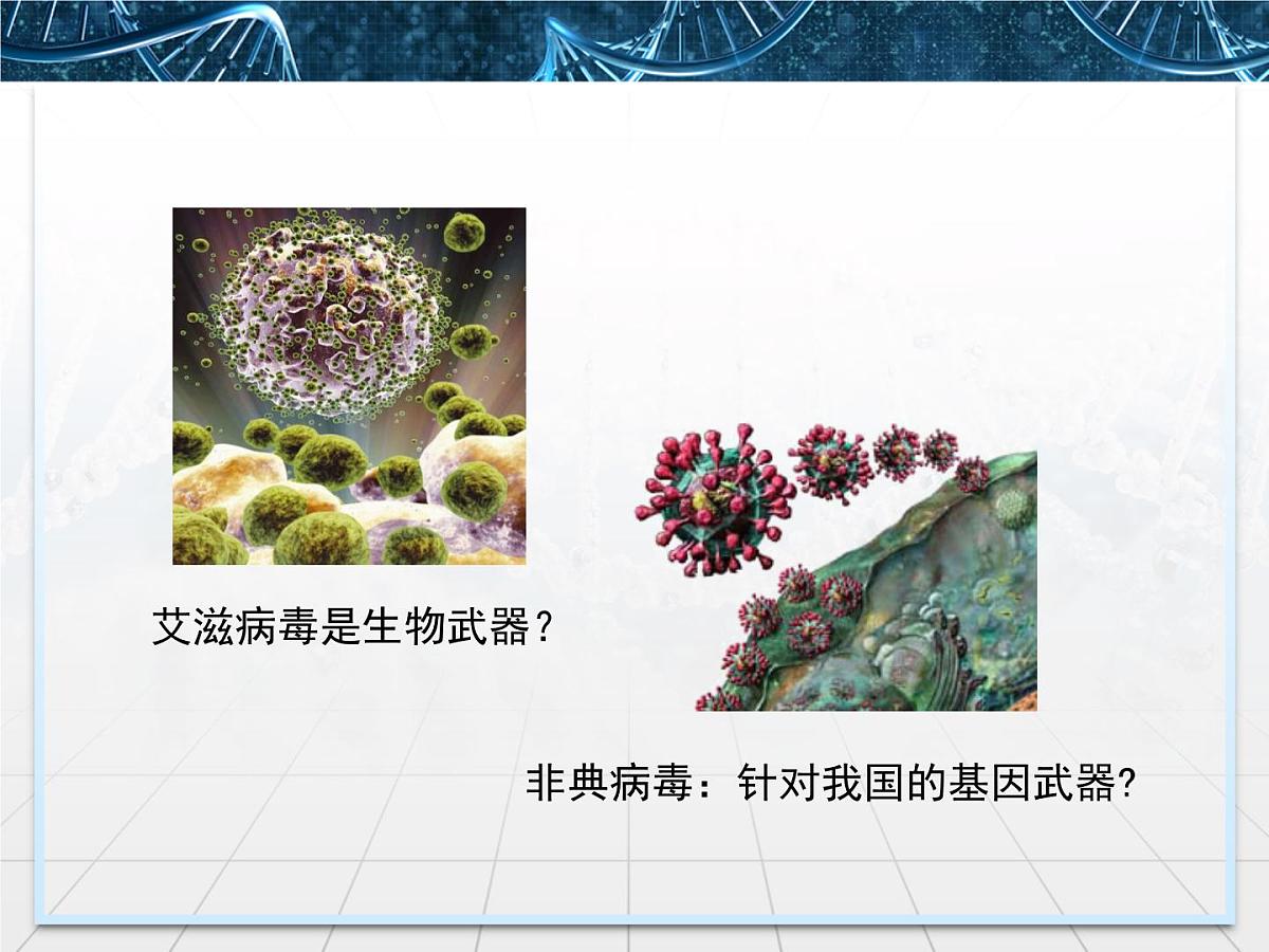 人教版 (新课标)高中生物选修3 4.3《禁止生物武器》课件第7页