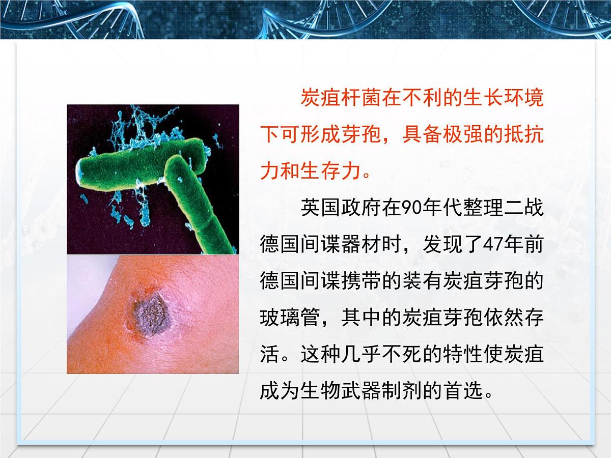 人教版 (新课标)高中生物选修3 4.3《禁止生物武器》课件第8页