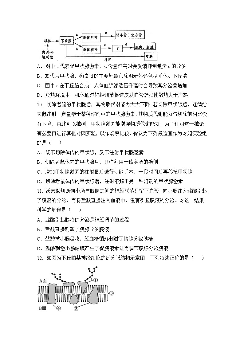 人教版 (新课标)高中生物选修1《生物技术实践》期末综合检测（一） 无答案第3页